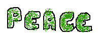 Braindead eco-activists